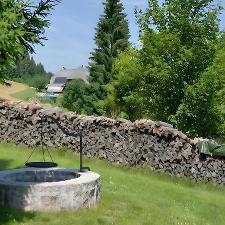 Gasthaus-Pension Zum Loewen 格兰芬豪森 外观 照片