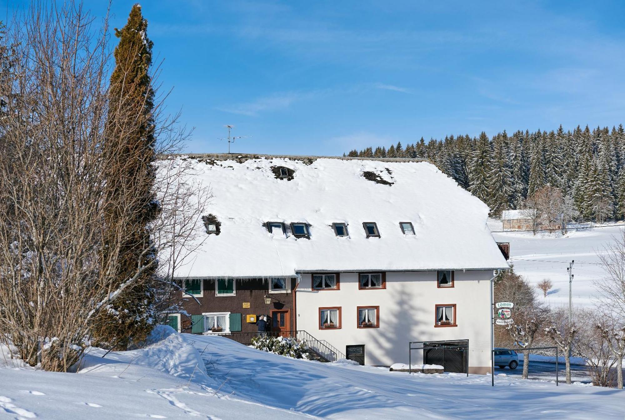 Gasthaus-Pension Zum Loewen 格兰芬豪森 外观 照片