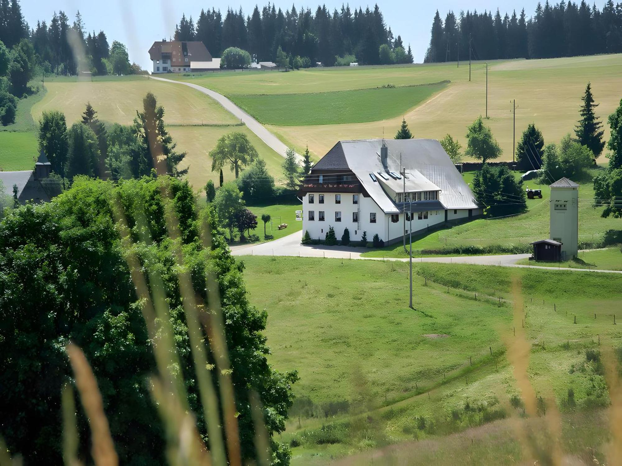 Gasthaus-Pension Zum Loewen 格兰芬豪森 外观 照片
