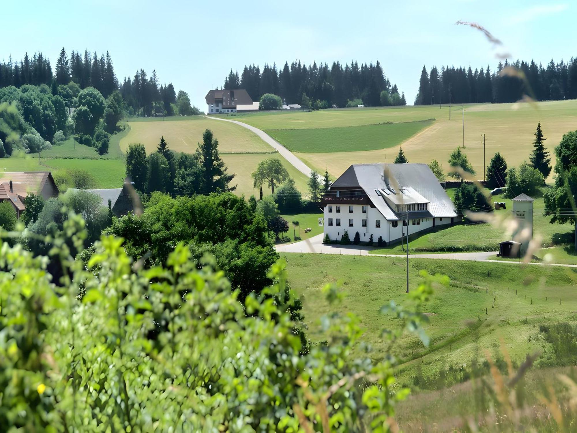 Gasthaus-Pension Zum Loewen 格兰芬豪森 外观 照片