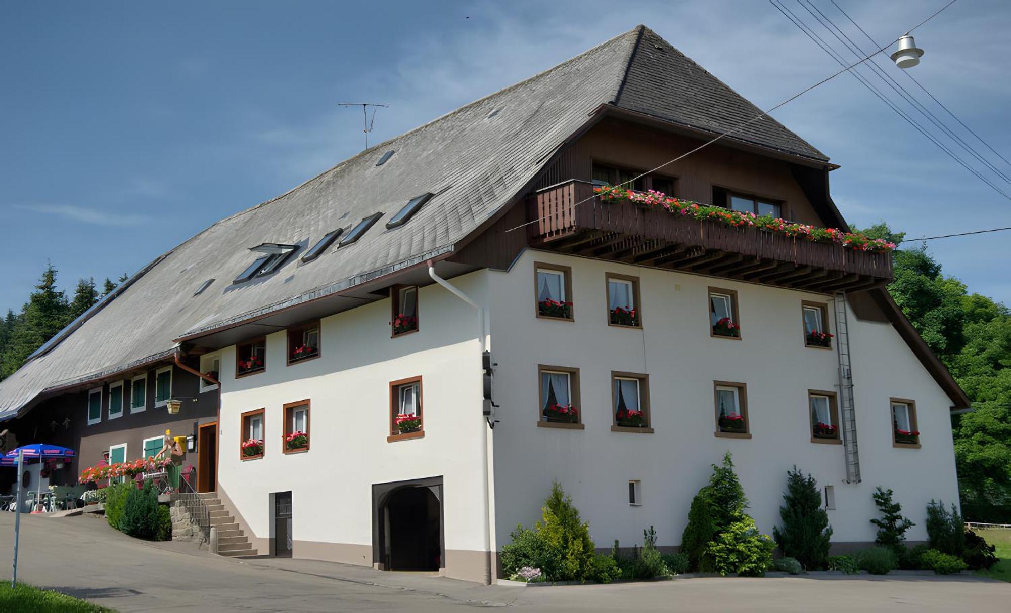 Gasthaus-Pension Zum Loewen 格兰芬豪森 外观 照片