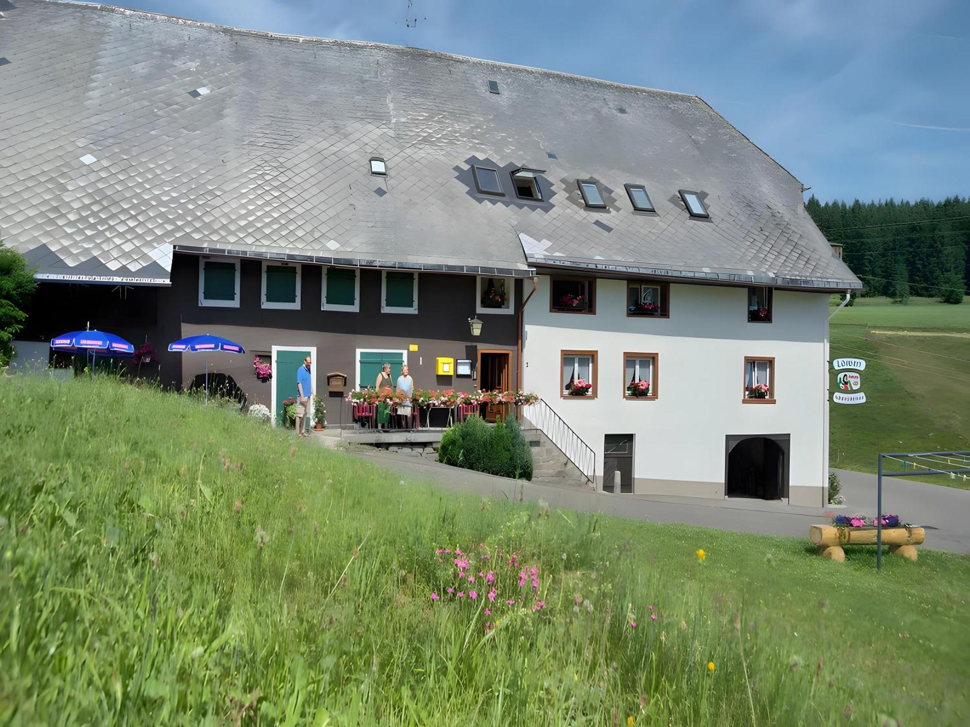 Gasthaus-Pension Zum Loewen 格兰芬豪森 外观 照片