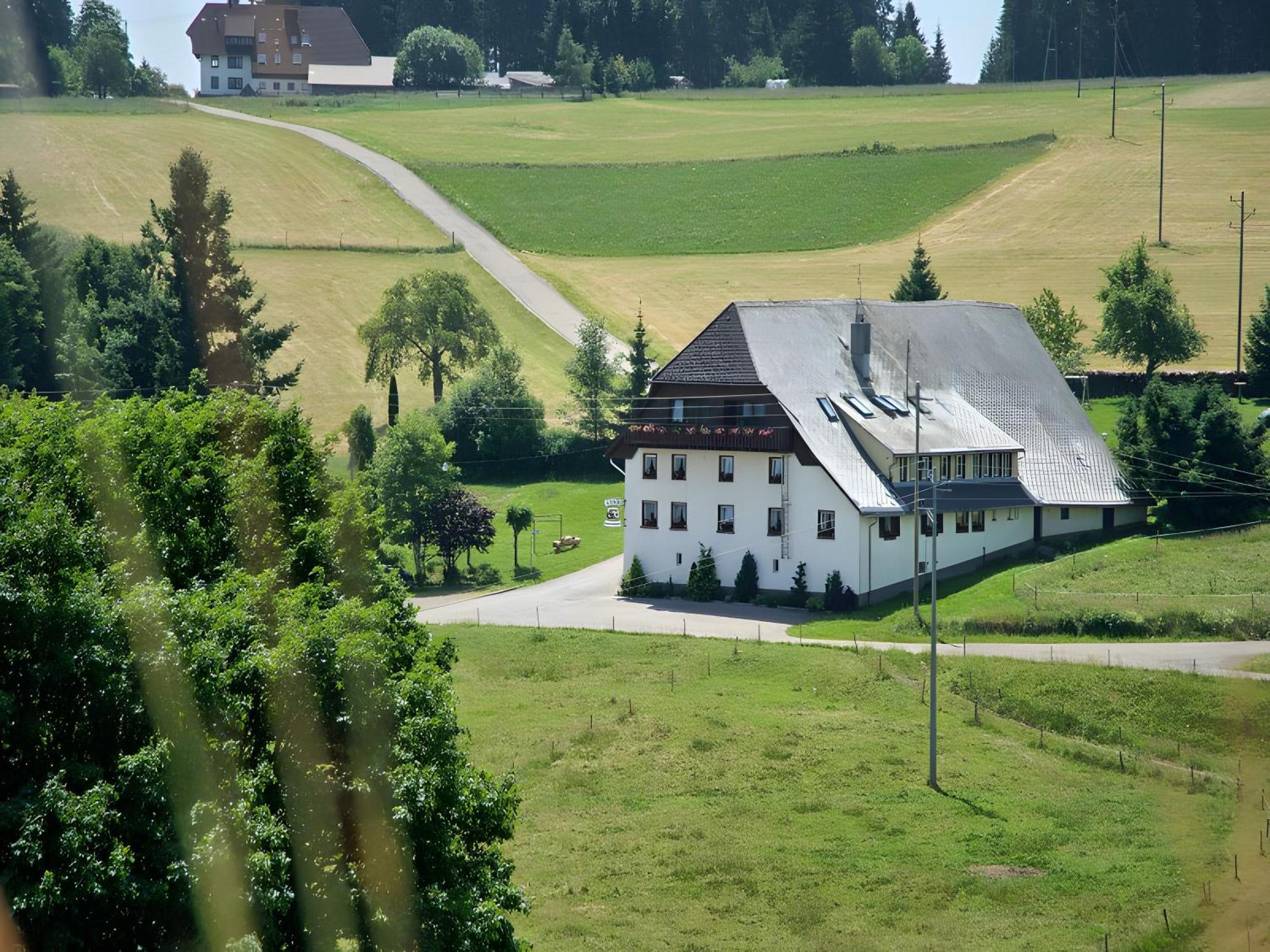 Gasthaus-Pension Zum Loewen 格兰芬豪森 外观 照片